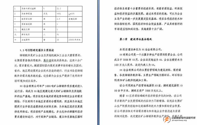 案例：冶金公司項(xiàng)目可研報(bào)告(圖1)
